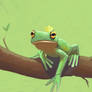 Tree Frog Study