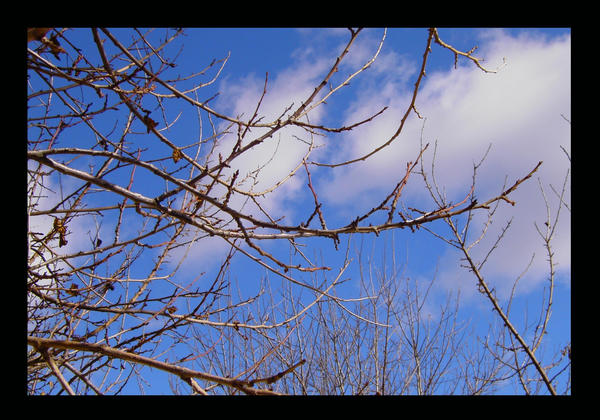 sky 3 by nouna on DeviantArt