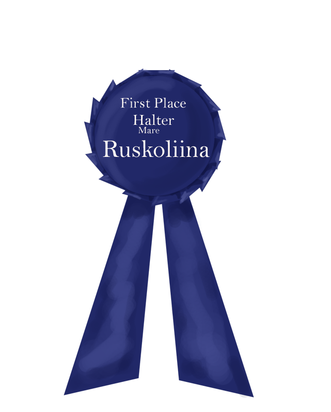 Ruskoliina Ribbon Medieval Fair