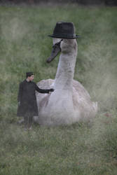 The boy and the swan