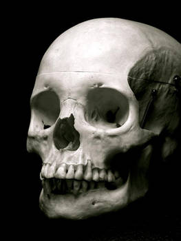 skull I