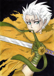 Hitsugaya Toshiro [9]