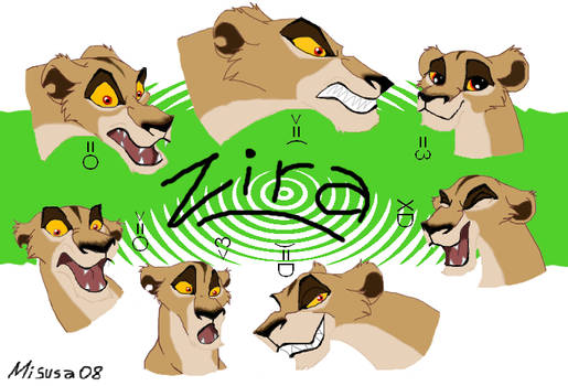 zira-expressions