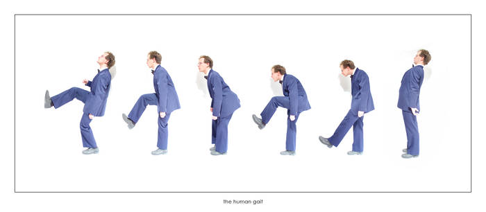 the human gait