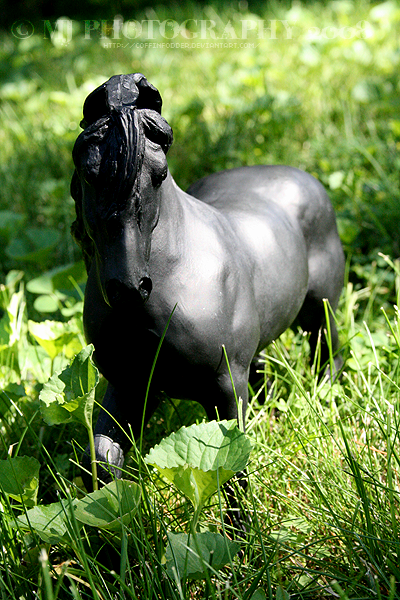 485 breyer - achilles