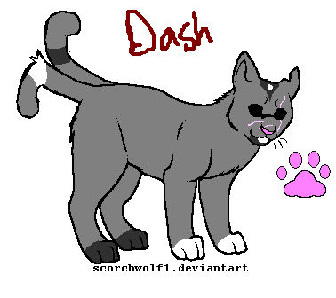 Dash reference by wolf-of-ice5 on DeviantArt