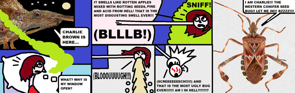 Charlie Insect Effect Charlie Brown The Monster Stink Bug (Feat Tasch) by Pedrew0 on DeviantArt