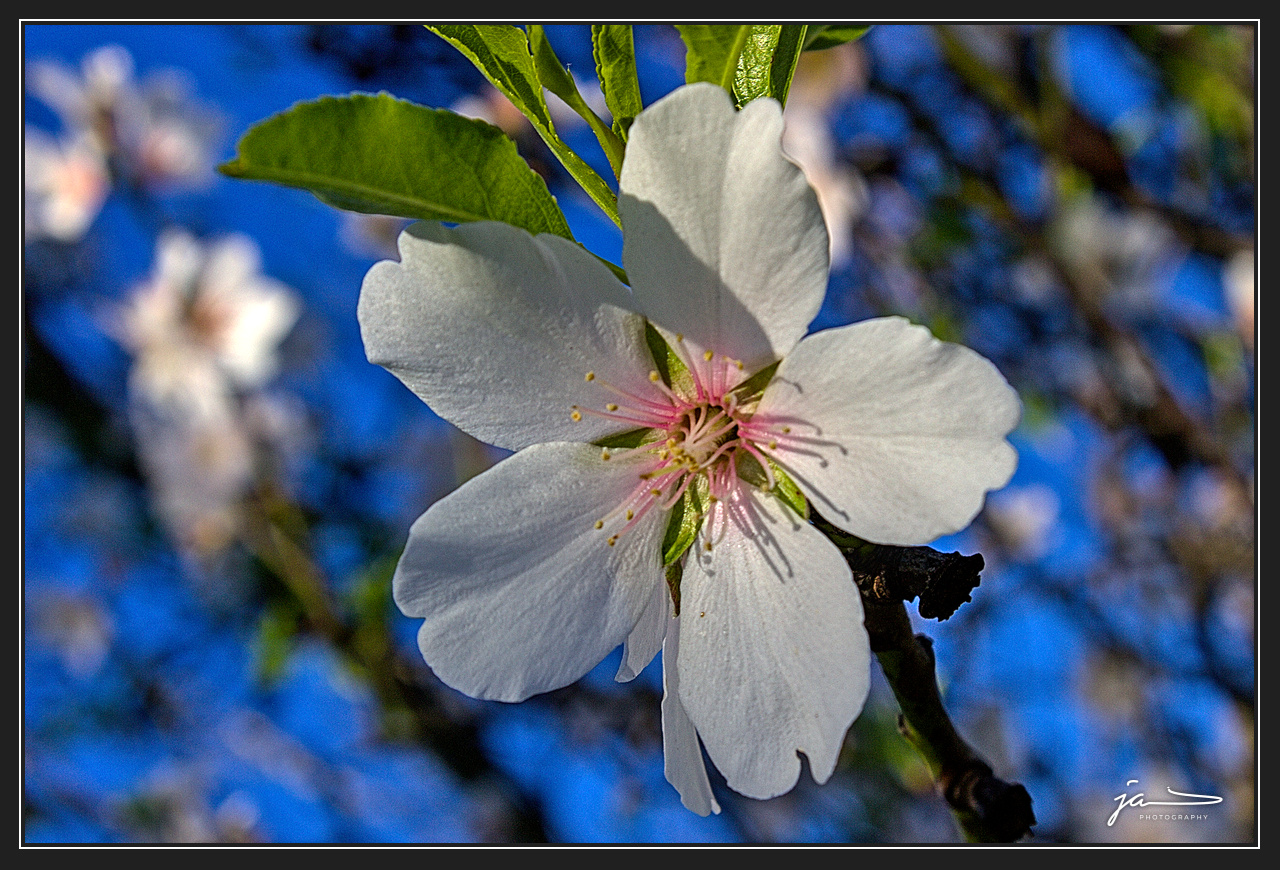 f047 by Jacetheos on DeviantArt
