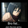 Bro First From Mikasa Ackermen