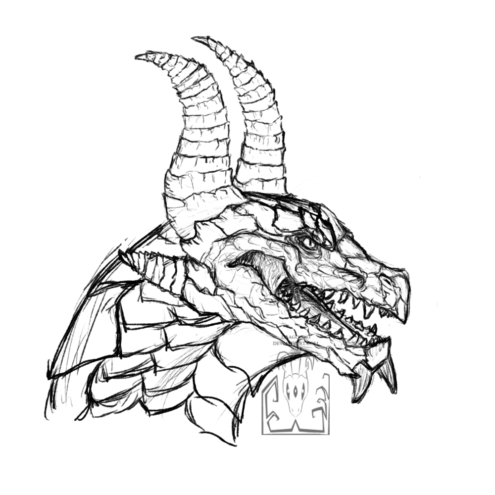 Dragon head sketch