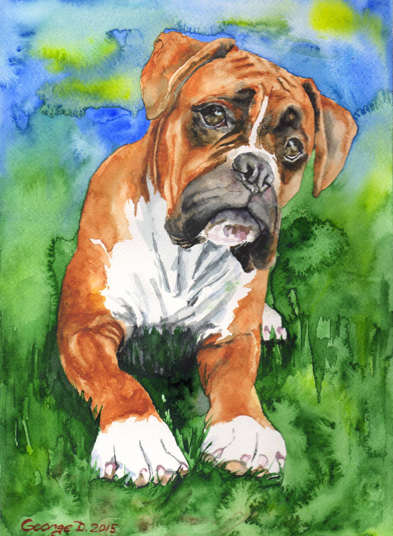 Deviantart Boxer Dog Boxer by GeorgeArt23 on DeviantArt