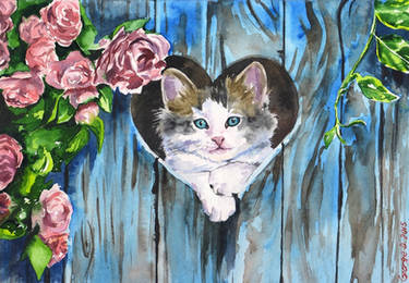 Kitty