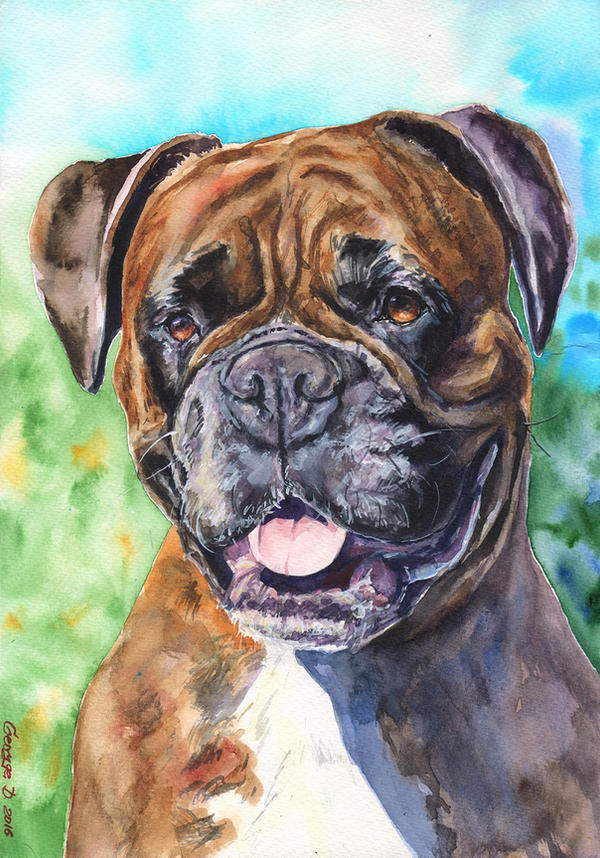 Deviantart Boxer Dog Boxer by GeorgeArt23 on DeviantArt