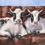 Gerge Dyachenko. Cows on sofa. Watercolor