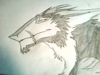 Sergal Drawing lawl