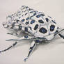 Hypercompe Scribonia  (Giant Leopard Moth) / 2012