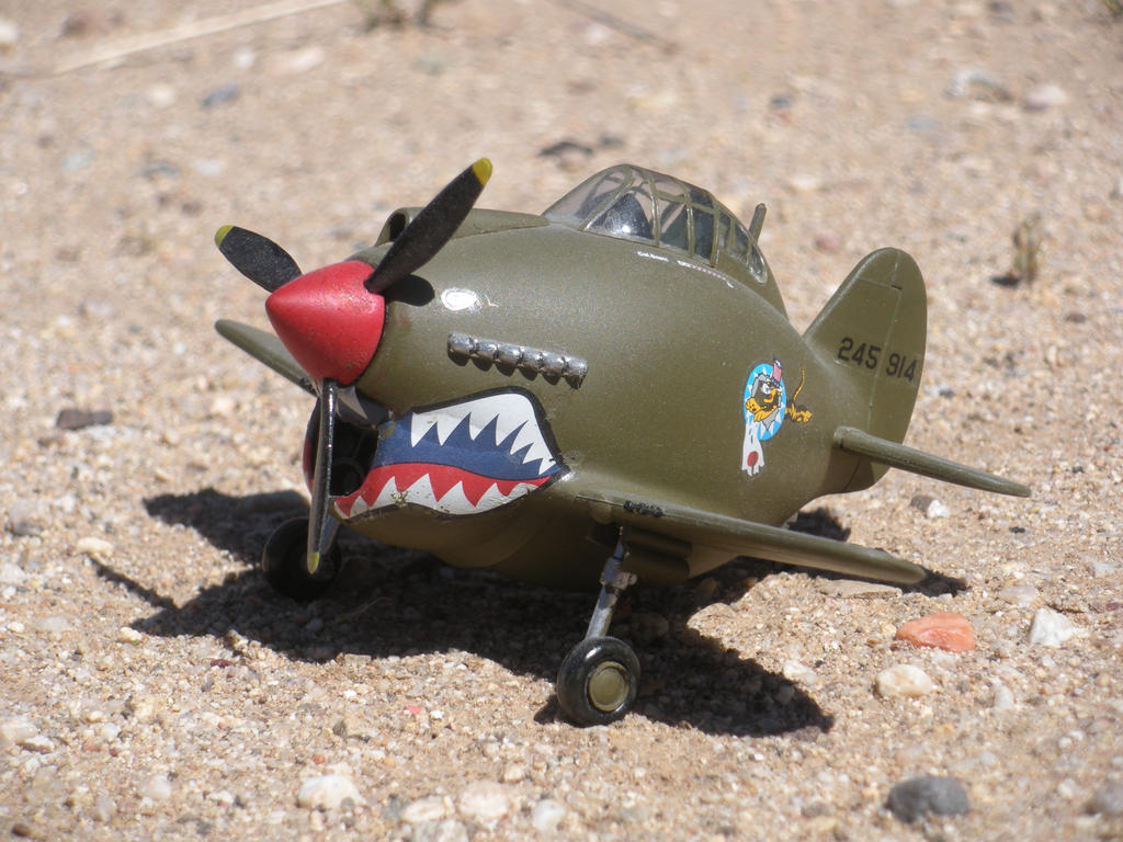 P-40 Warhawk EggPlane