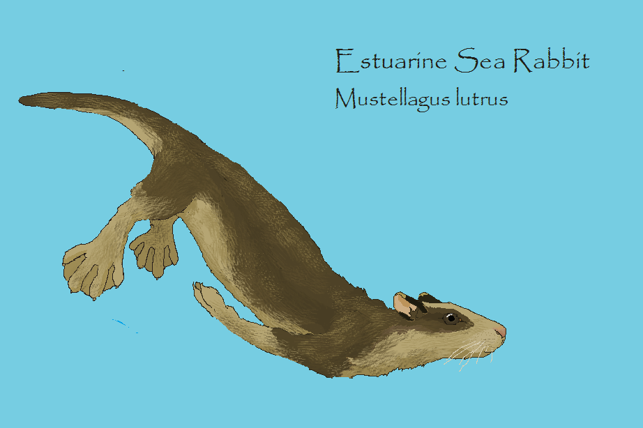 Estuarine Sea Rabbit by Sheather888 on DeviantArt