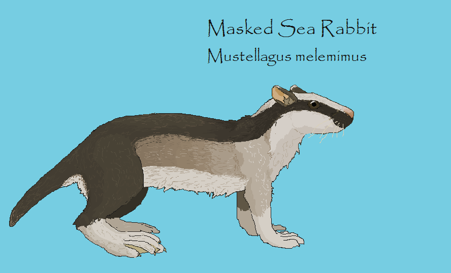 Masked Sea Rabbit by Sheather888 on DeviantArt