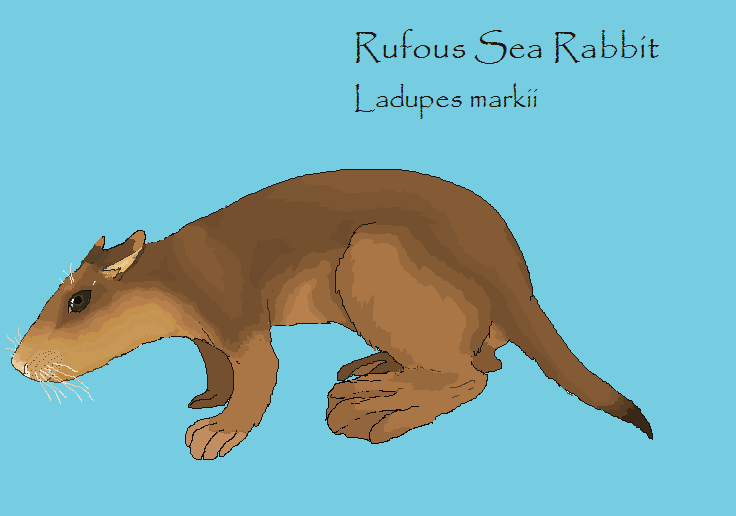 Rufous Sea Rabbit by Sheather888 on DeviantArt