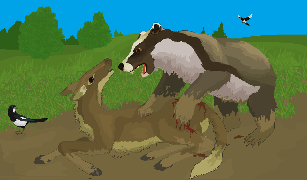 Badger Bear Springs an Attack on a Flagtail Deer