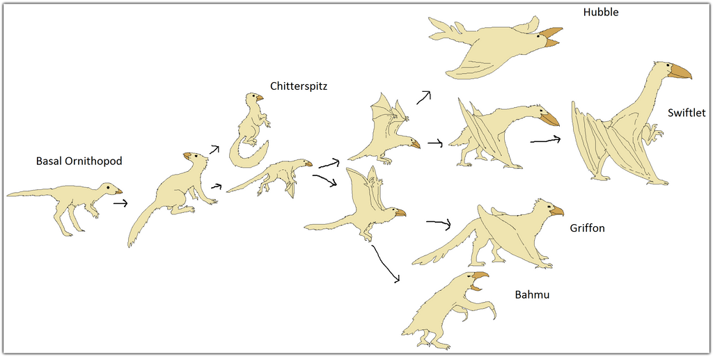 Birds Evolution Drawing Evolution of the Birds by Sheather888 on DeviantArt