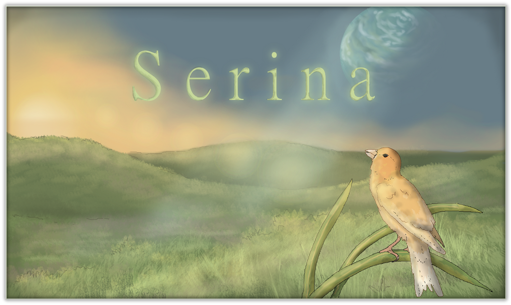 Serina: A Natural History of the World of Birds - Bristleback Soghog