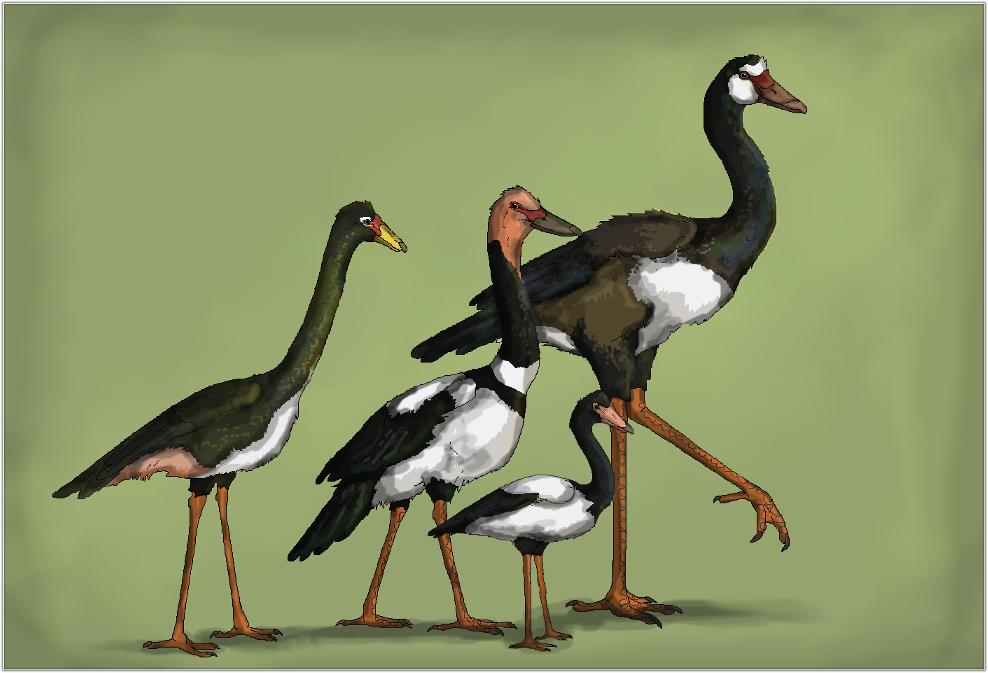 The King Geese