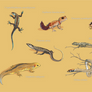 Reptiles of the Australian Spiny Forest