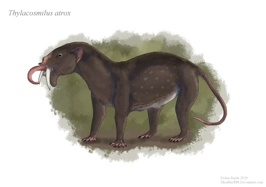 The Sabertooth Anteater by Sheather888 on DeviantArt