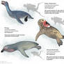 Birdwhale Ancestors