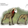 The Antlear People