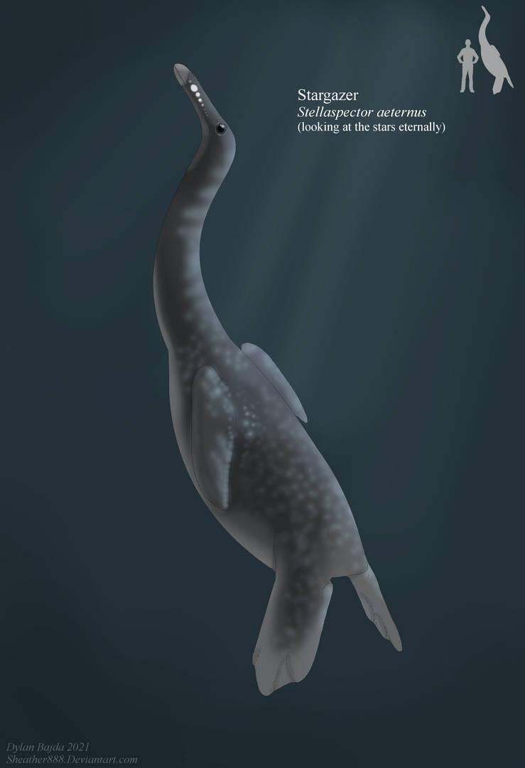 The Stargazer by Sheather888 on DeviantArt