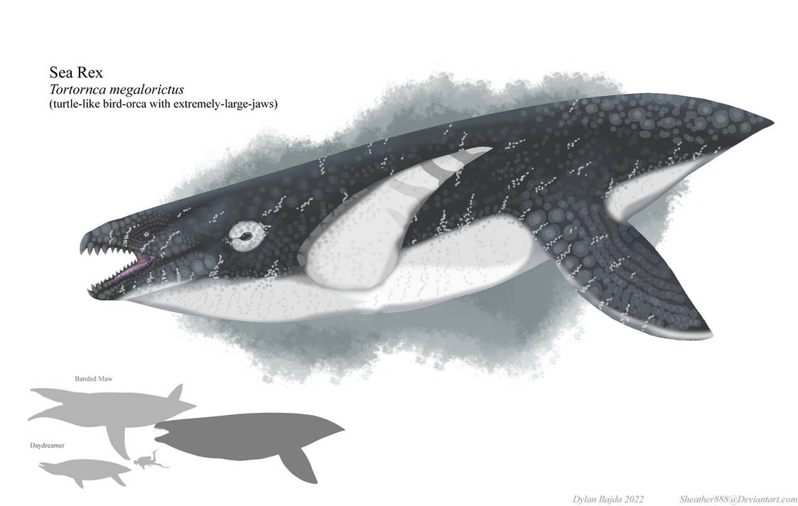Sea Rex by Sheather888 on DeviantArt