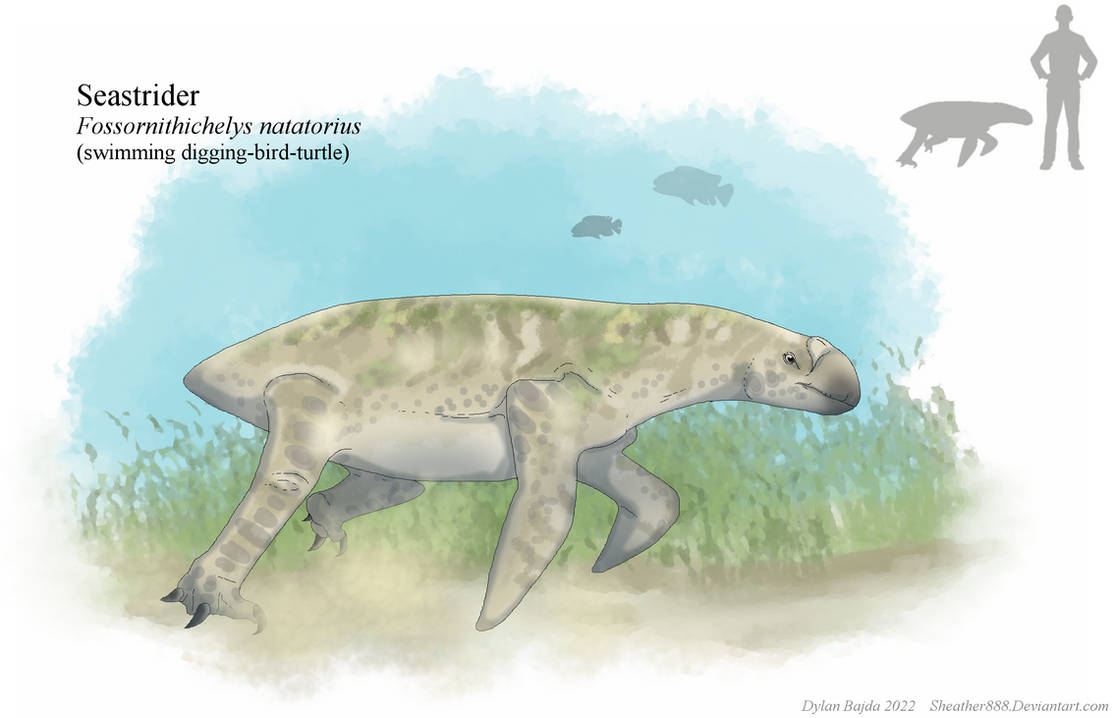 Seastrider by Sheather888 on DeviantArt