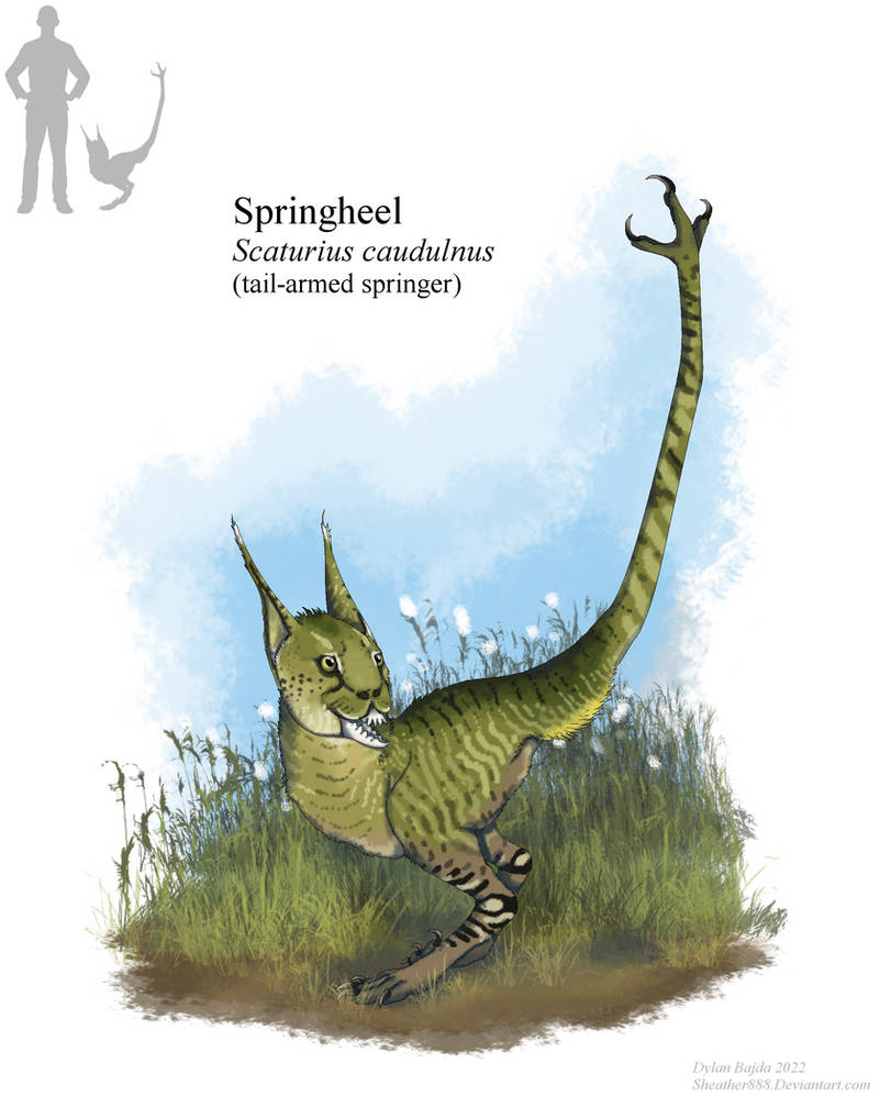 Springheel by Sheather888 on DeviantArt