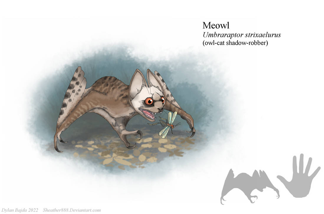 Galactic Meowl Meowl by Sheather888 on DeviantArt