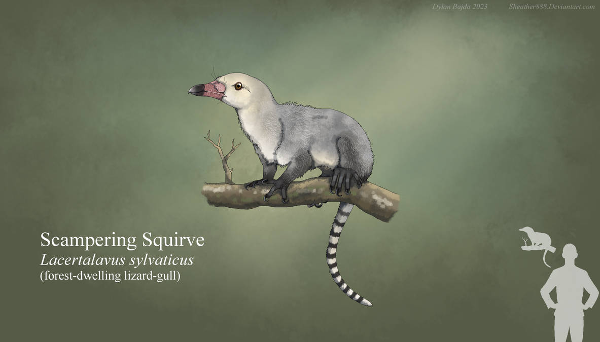 Scampering Animation Scampering Squirve by Sheather888 on DeviantArt