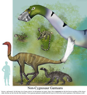 Non Cygnosaur Gantuans