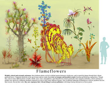 Flameflowers