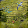 Stormveld ( 37 new species!)