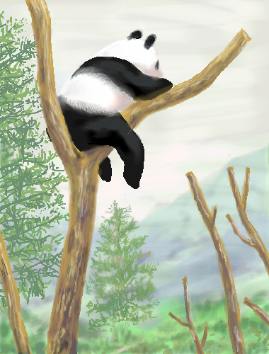 Panda to climb a tree