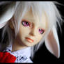 Is it a white rabbit - 3