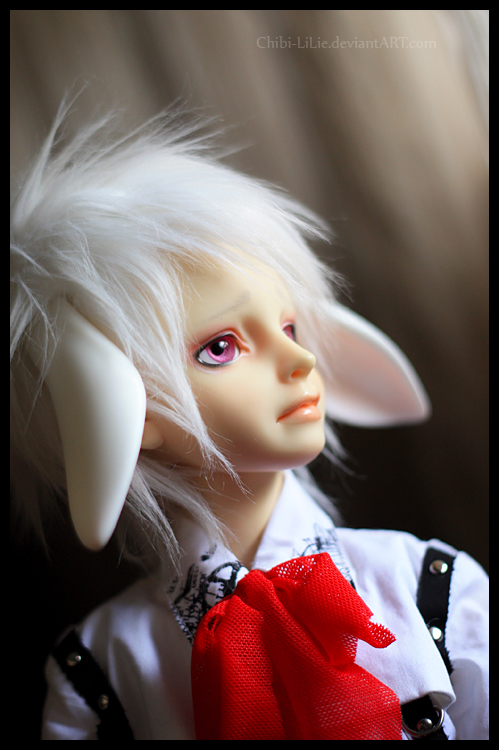 Is it a white rabbit - 5