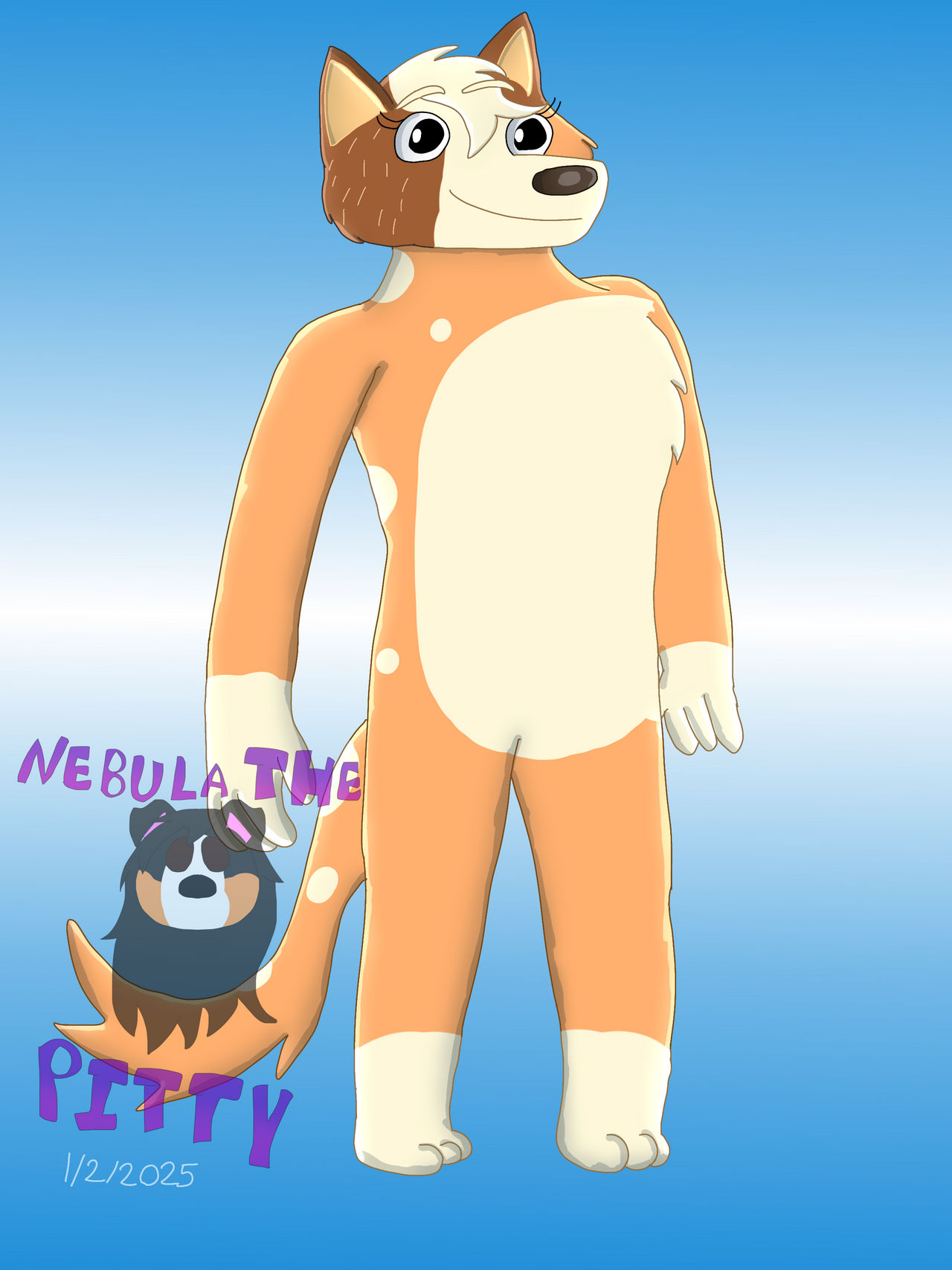 Deviantart Fa FA: Chilli Heeler by NebulaThePitty on DeviantArt