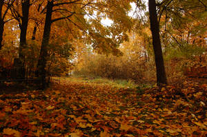 Autumn landscape by OOOri