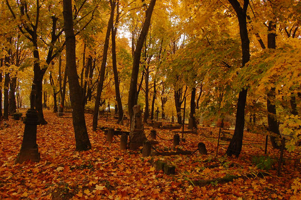 Old cemetery in Autumn 3