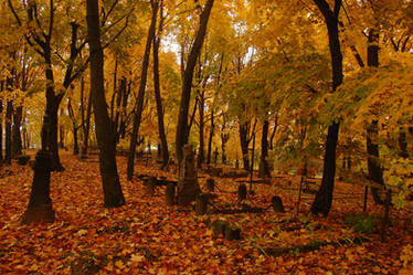 Old cemetery in Autumn 3