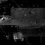 Black with Text Texture
