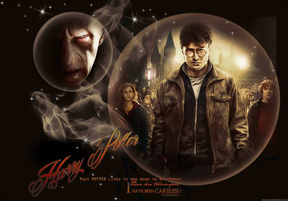 HARRY POTTER AND VOLDEMORT